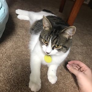 Meet your Posher, Taryn